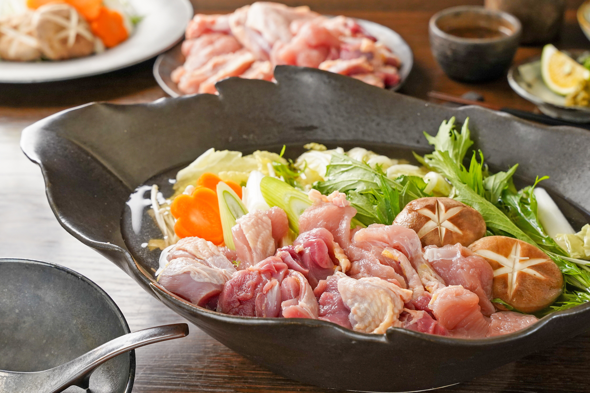 みやざき霧島山麓雉肉（きじ）