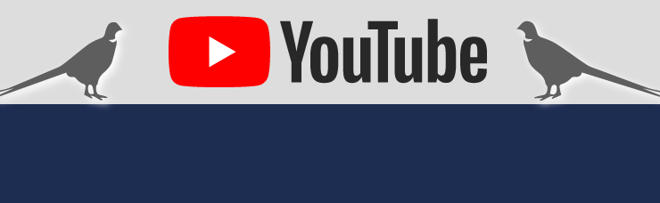 youTubuチャンネル