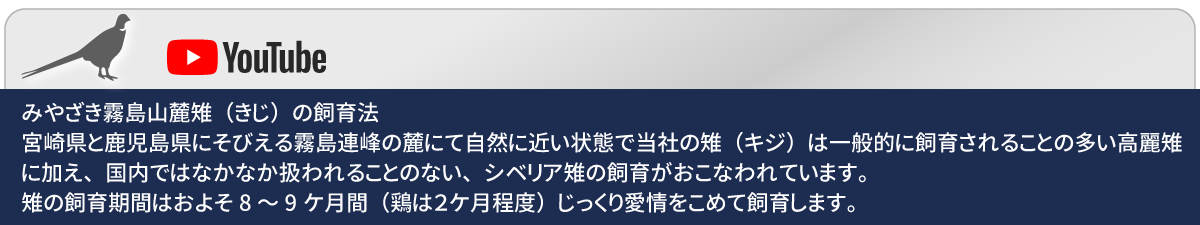 youYubuチャンネル